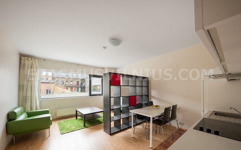 Voll ausgestattete Küche mit Backofen, Kochfeld und Geschirrspüler in Erasmus-Wohnung, Mindaugo gatvė Vilnius