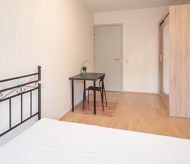 Zweites Schlafzimmer (16 m²) mit natürlichem Licht und Kingsize-Bett in Wohnung 2, Vilnius