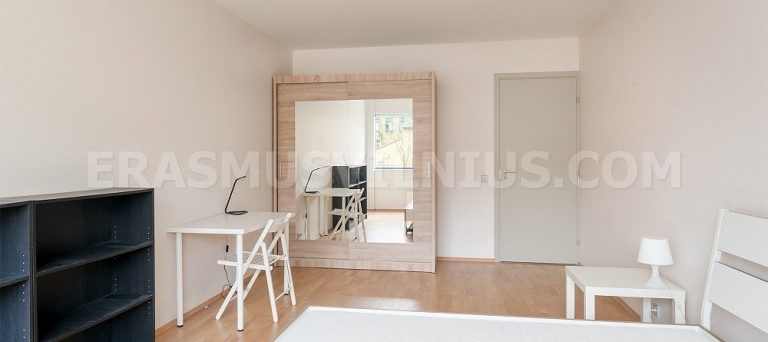 Geräumiges 21 m² Schlafzimmer mit Kingsize-Bett in Erasmus Vilnius Wohnung 2, Mindaugo gatvė