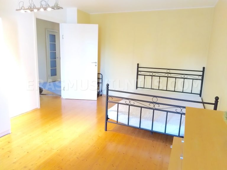 Spiegel und Teppich im Einzelzimmer, Erasmus Vilnius Wohnung 1