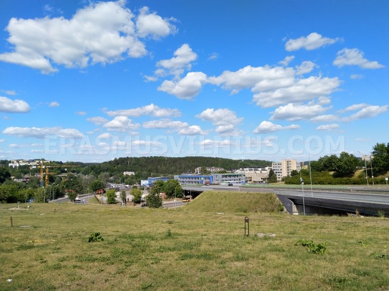Grünes Sommerpanorama vom Dachfenster über die Altstadt von Vilnius