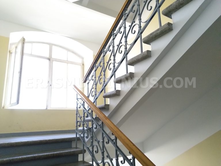 Dachpanorama des historischen Zentrums von Vilnius von der Dachgeschosswohnung