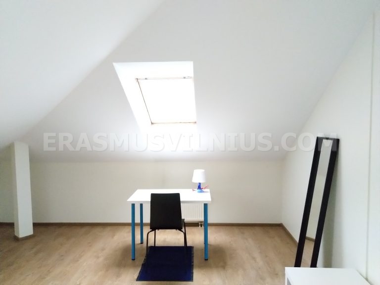 Wohnzimmer mit Sessel und Teppich, Studentenunterkunft Vilnius