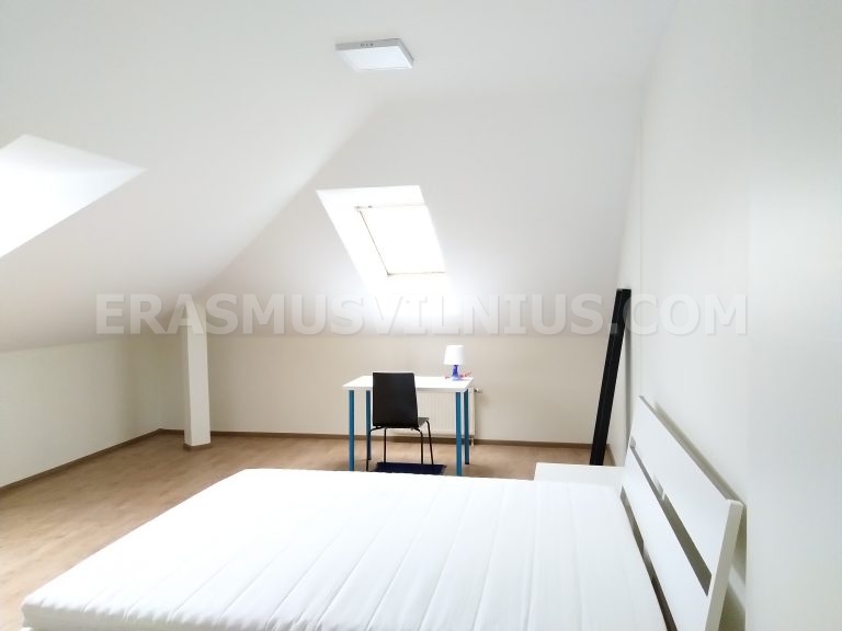 Extra großes 24 m² Schlafzimmer mit Dachschräge und natürlichem Licht