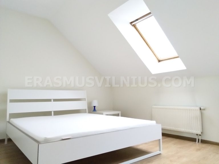 Küche mit Backofen, Kochfeld und Arbeitsfläche in Vilnius Studentenunterkunft