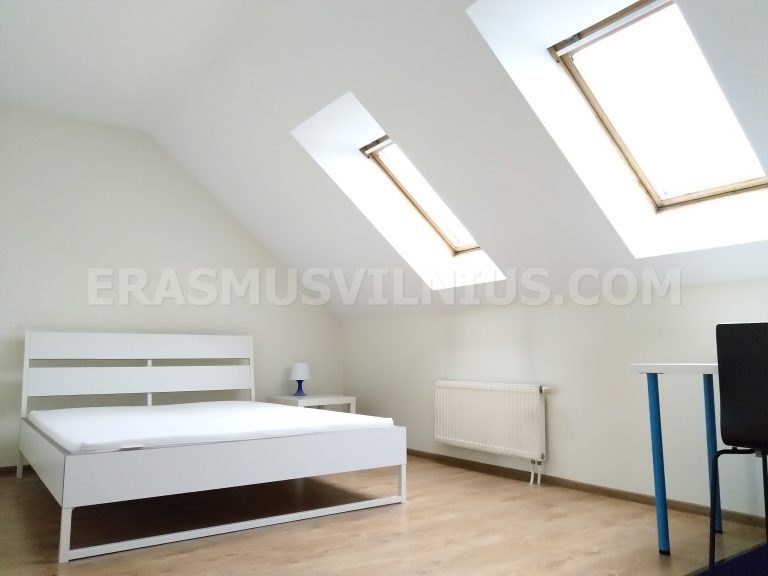 Schlafzimmer mit Nachttisch, Lampe und Teppich in Erasmus-Wohnung