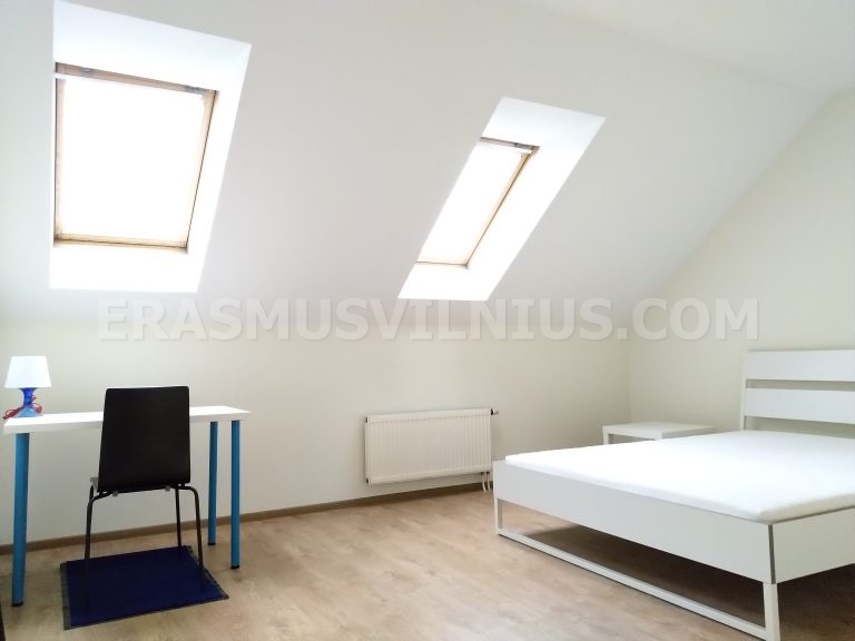 Zweites Badezimmer Übersicht — Dusche und Waschbecken in Erasmus-Wohnung