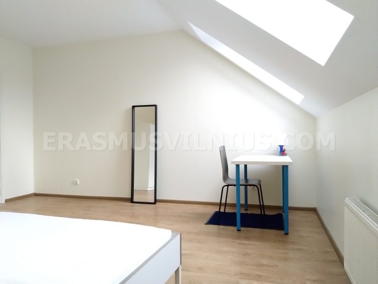 Sauberes Badezimmer mit gefliesten Wänden und Dusche in Wohnung 4