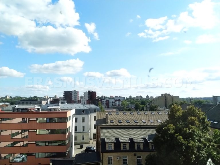 Einzelzimmer mit Schreibtisch und Kleiderschrank in Wohnung 3, Vilnius