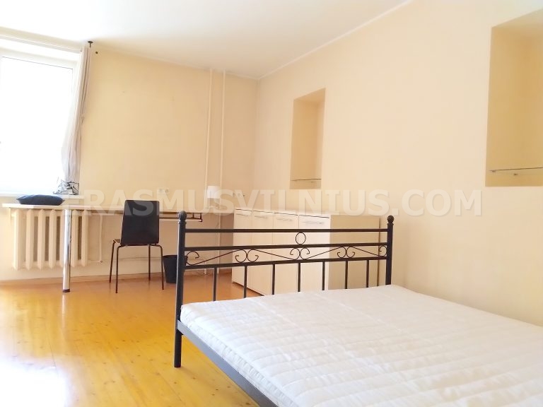 Zimmer mit Teppich und Lampe in Erasmus-Wohnung, Kauno gatvė